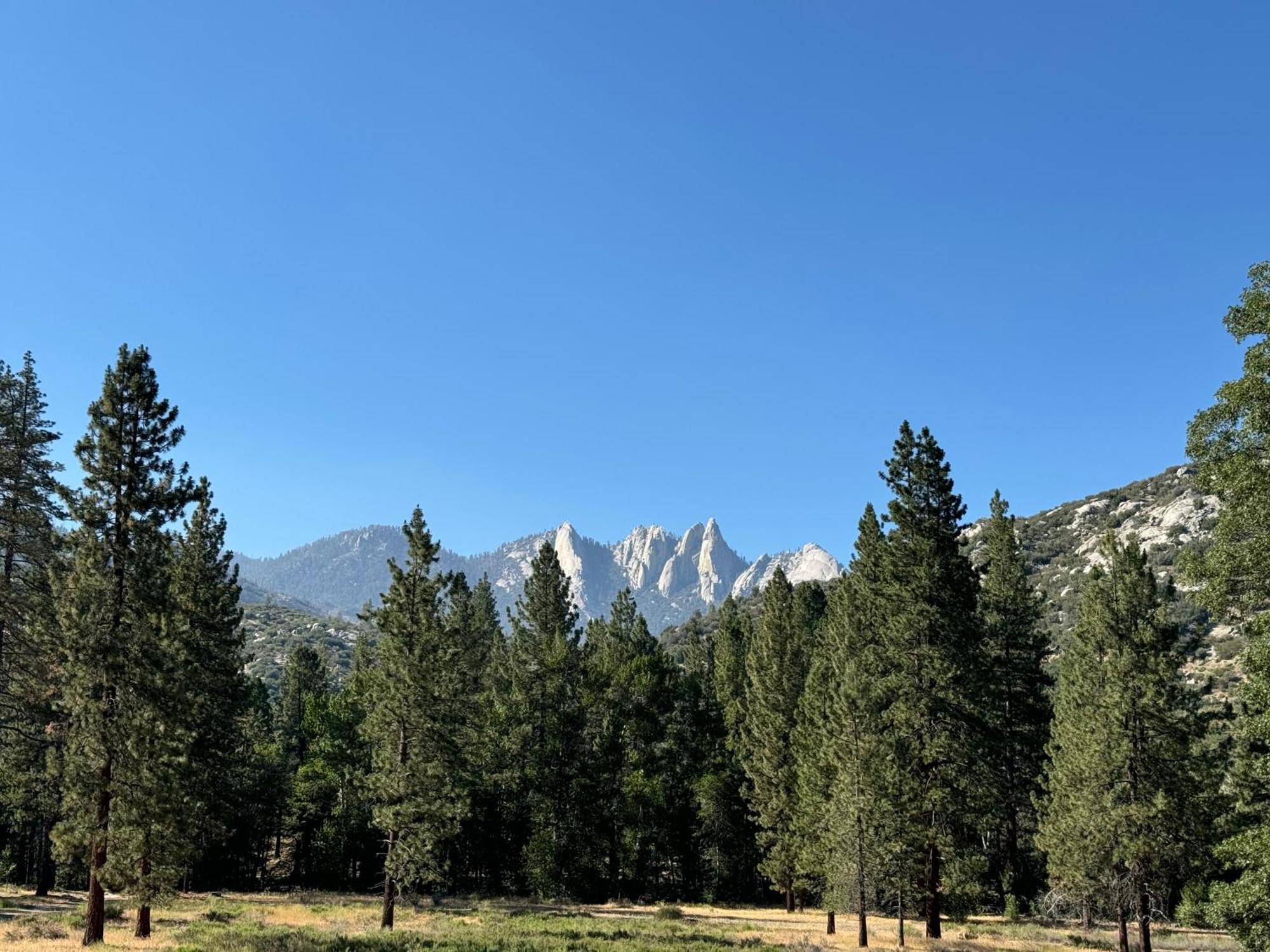 Peppermint Falls Ranch Ponderosa Extérieur photo